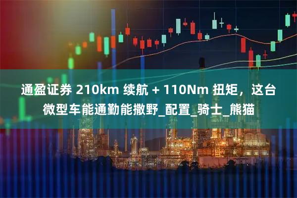 通盈证券 210km 续航 + 110Nm 扭矩，这台微型车能通勤能撒野_配置_骑士_熊猫