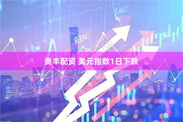 贵丰配资 美元指数1日下跌