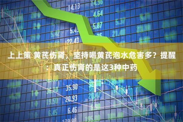 上上策 黄芪伤肾，坚持喝黄芪泡水危害多？提醒：真正伤肾的是这3种中药