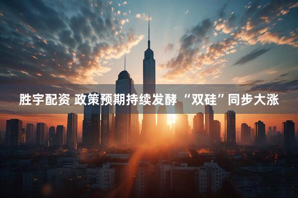 胜宇配资 政策预期持续发酵 “双硅”同步大涨