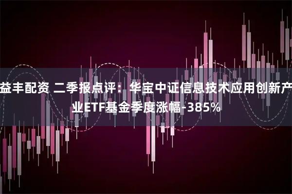 益丰配资 二季报点评：华宝中证信息技术应用创新产业ETF基金季度涨幅-385%